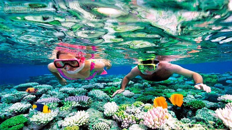Snorkeling w Alanya Photo 5