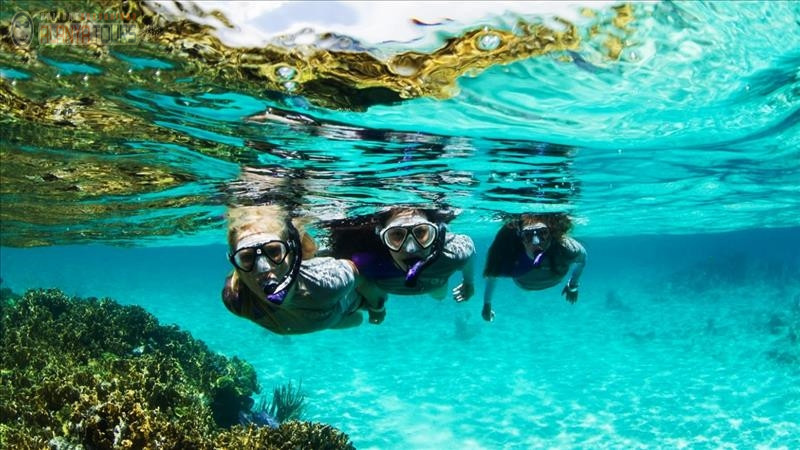 Alanya snorkeling Photo 7