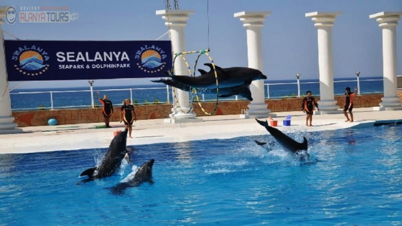 Dolphin Park in Alanya Photo 2