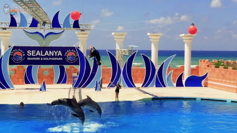 Dolphin Park in Alanya Photo 3