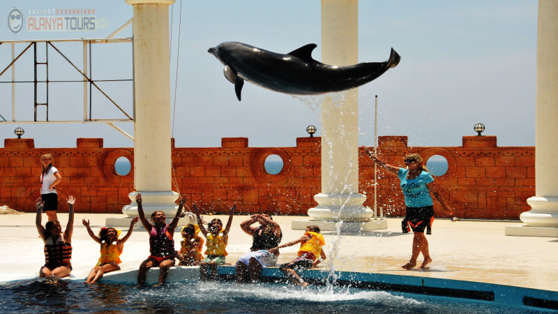 Dolphin Park in Alanya Photo 5