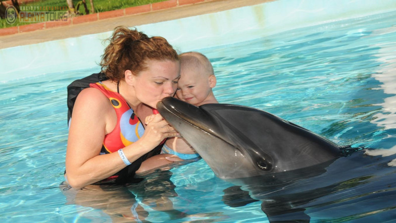 Swim with dolphins in Alanya Photo 1